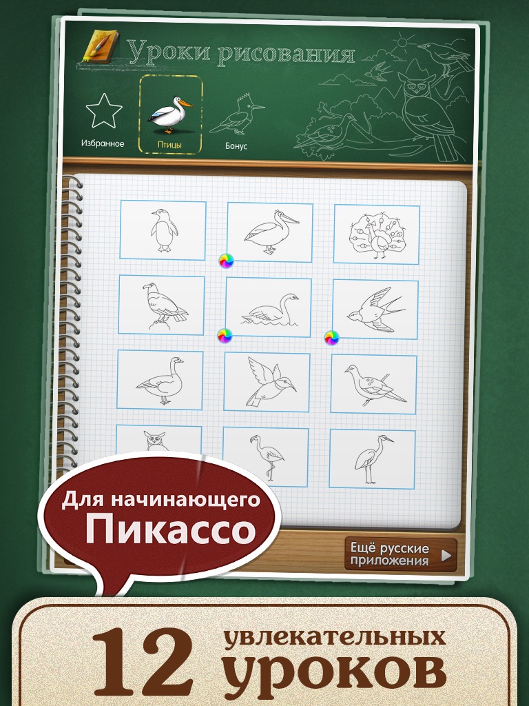 Drawing lessons: Learn how to draw birds! screenshot 2