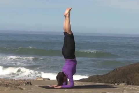 Yoga 301 screenshot 3