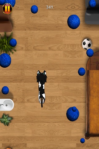 A Kitten Run Pro Endless Running Games screenshot 3