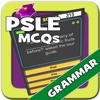 PSLE MCQs - Grammar