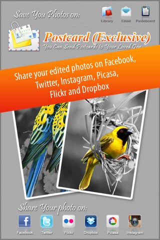 Photo Splash FX - editor with multiple color stroke to splash, colorize, recolor and share on instagram, Facebook & dropbox screenshot 4
