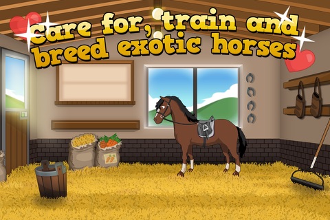 Horse Academy screenshot 3