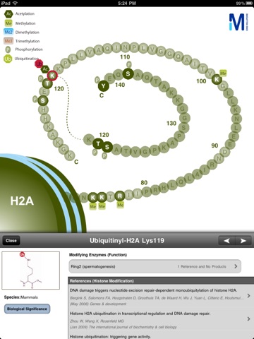 Merck Millipore Interactive Histone Modificatio... screenshot 3