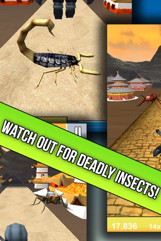 Ninja Run - Dash And Jump For Fruit - Watch Out For Deadly Insects! screenshot 2