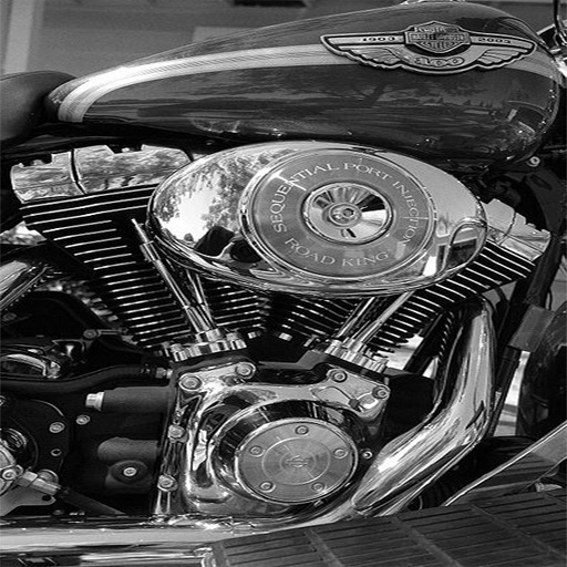 Harley Davidson Complete Icon