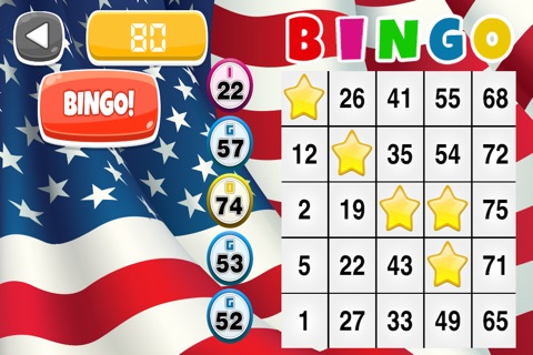 All-American Bingo Game: Fun Party in the USA Edition - FREE screenshot 2