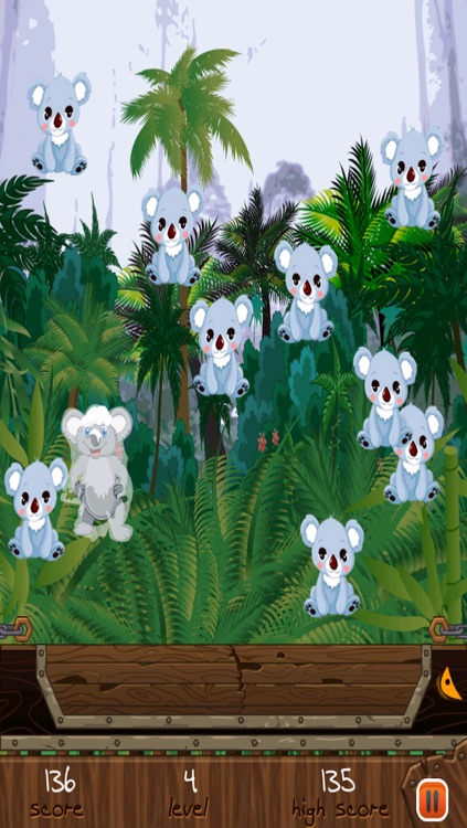 Koala Fall Survival Blast - Crazy Angry Dingo Escape Game for Kids