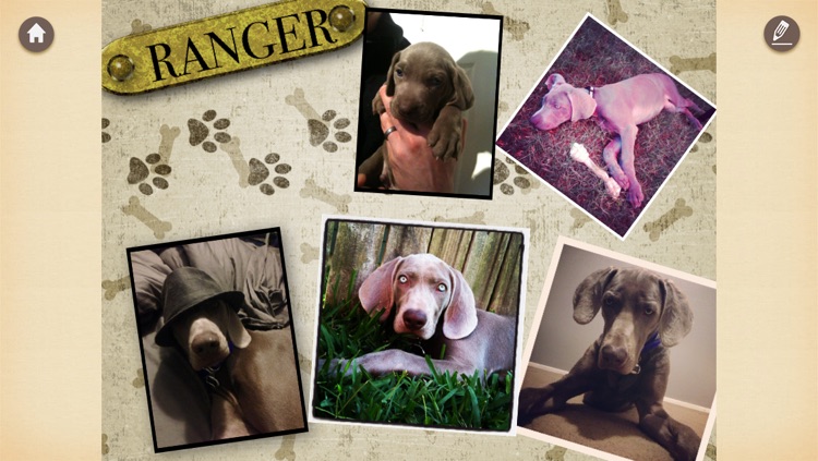 ScrapNShare - Digital Scrapbooks & Photo Books You Can Share screenshot-3