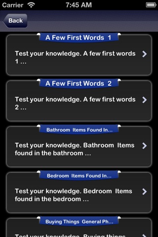 Grand Language Tests screenshot 3