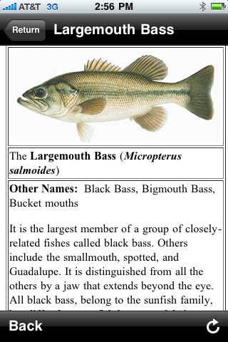Freshwater Fish ID South