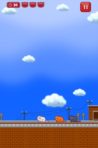 Cats vs Birds screenshot 3