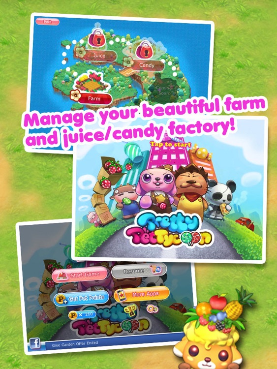 Pretty Pet Tycoon HD