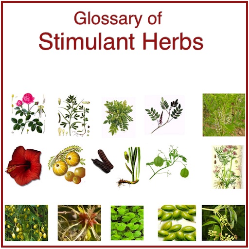 Glossary of Stimulant Herbs