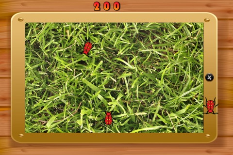 Cat Toy Deluxe screenshot 2