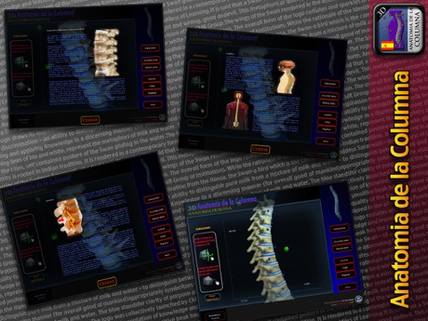 Anatomia de la espina dorsal screenshot 3