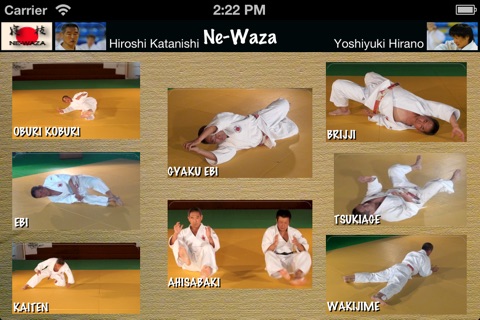 Judo Newaza 1 screenshot 2