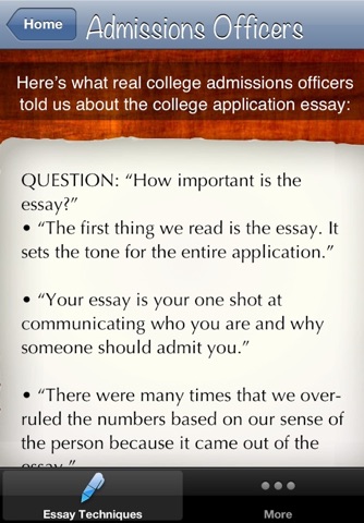 College Essay Techniques screenshot 3