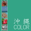 沖縄 COLOR