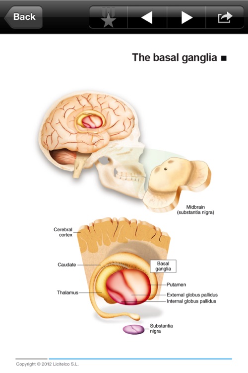 Miniatlas Psychiatry