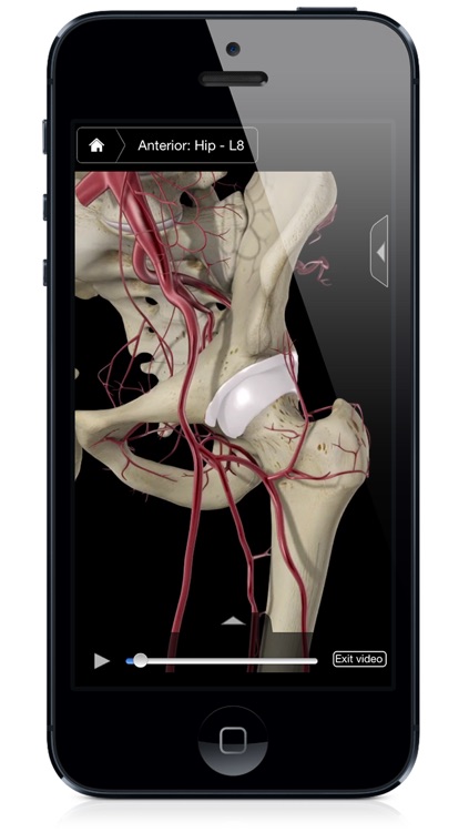 Hip Pro III with Animations - iPhone Edition