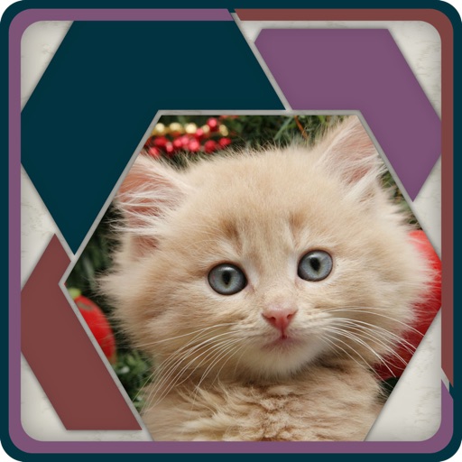 HexSaw - Kittens Icon