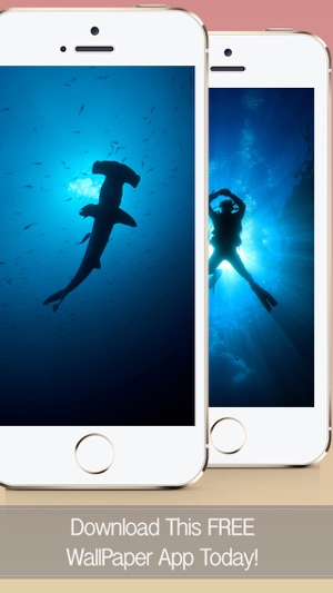 Underwater Wallpapers & Backgrounds - Do