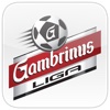 Gambrinus Liga 2013/2014