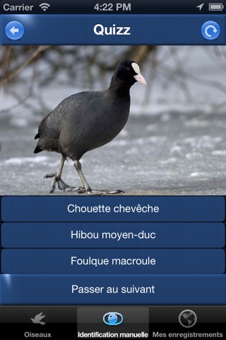 Oiseau ID France - Apprenez à reconnaître les oiseaux dans la nature et dans votre jardin screenshot 4