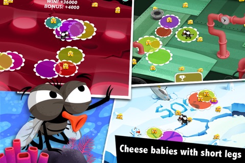 Fly and Cheese Free screenshot 3