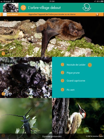 Parcours Biodiversité Cadarache screenshot 4