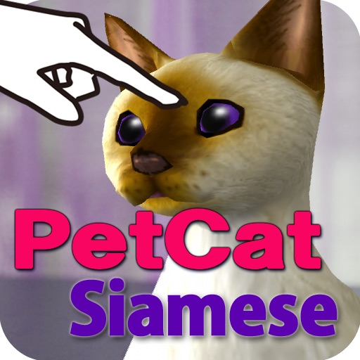 Siamese Petting cat 3D REAL