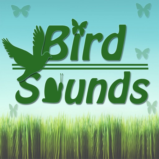 Bird Sounds + icon