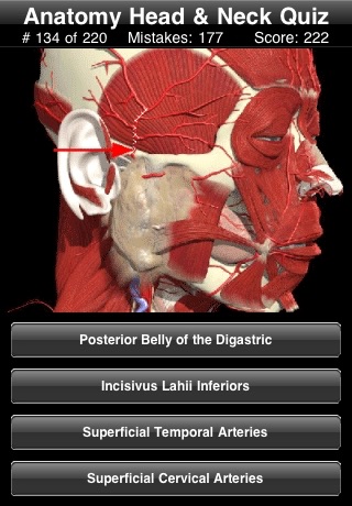 Anatomy Head & Neck Quiz screenshot 3