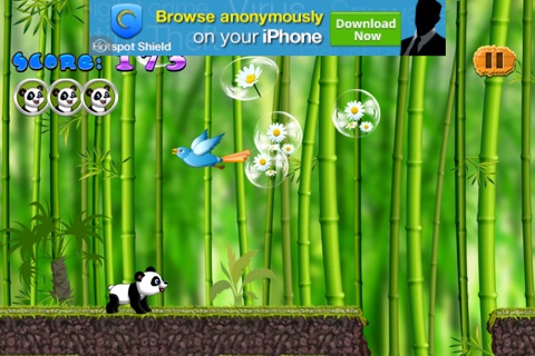 Panda Bear Baby Run FREE - Addictive Animal Running Game screenshot 3