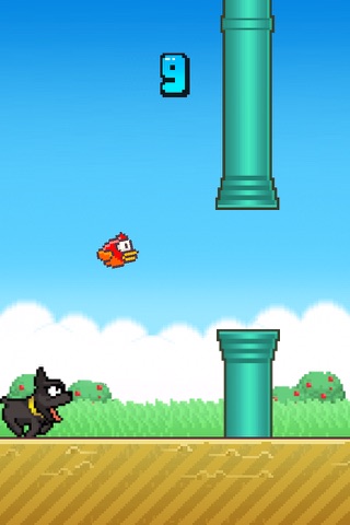 Splashy Bird & Angry Puppy screenshot 3