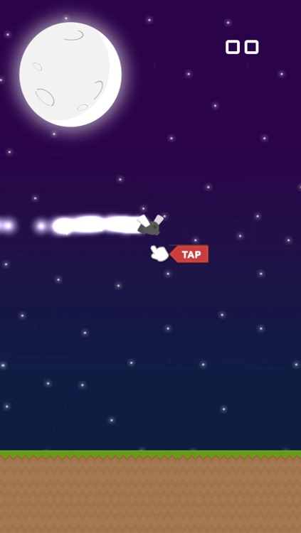 Flappy Firefly Night