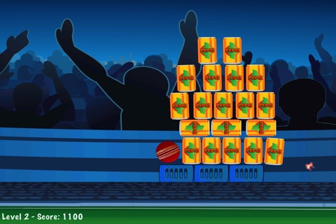 Toss the Cricket Ball - Throwing Practice Game screenshot 4