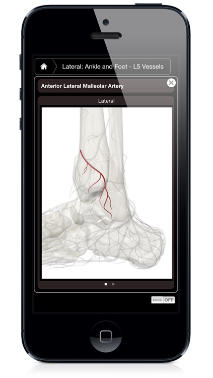 Ankle & Foot Pro III - iPhone Edition screenshot-4