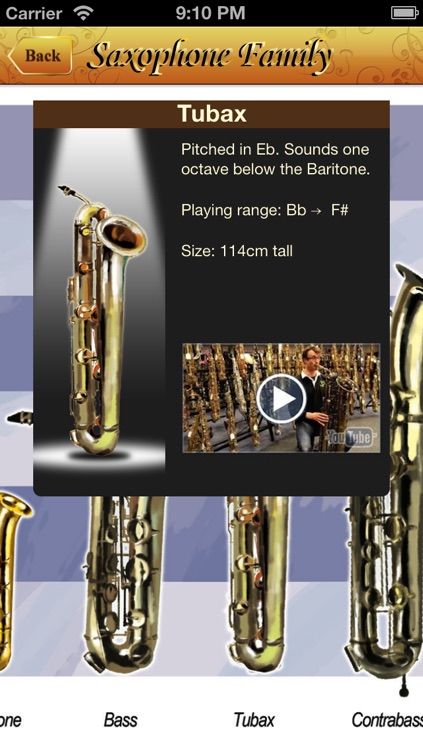 Saxophone All-in-one