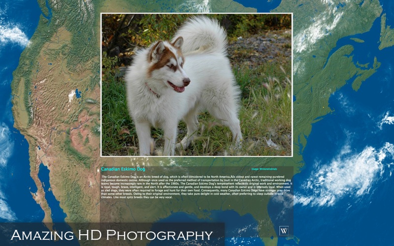 Amazing Earth 3D: Dogs thumbnail 4
