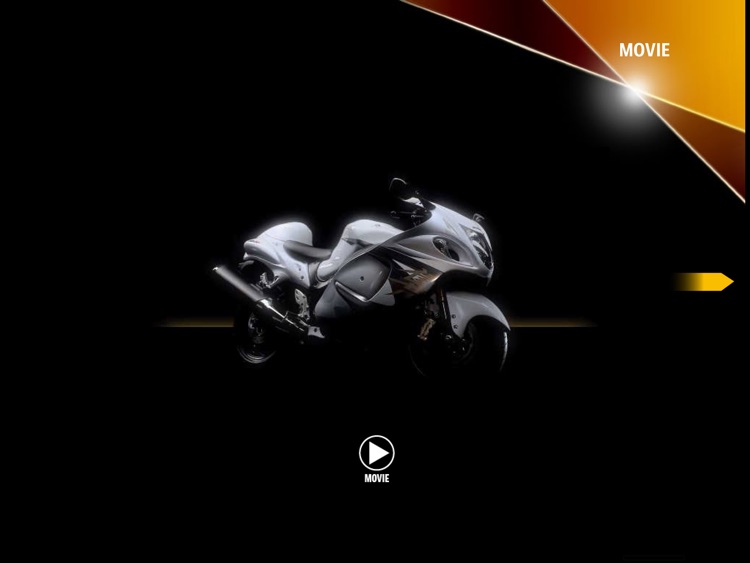 SUZUKI HAYABUSA screenshot-3
