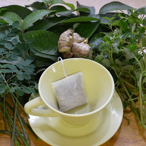 A Healthy Life with Medicinal Plants