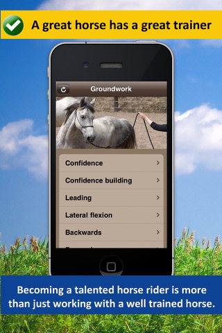 Groundwork Exercises and Lessons: Improve your Horse Back Riding screenshot 2