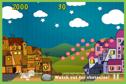 Cool Cat Adventure Race A Cute Kitty Jump Racing Game screenshot 3
