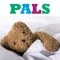 Learn about Pediatric Advanced Life Support (PALS)