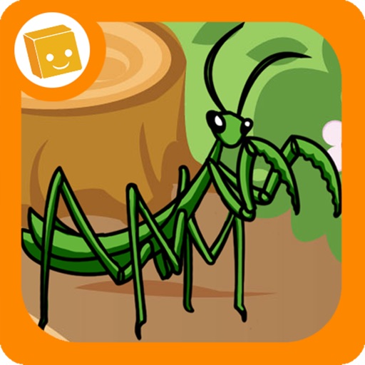 InsectFriends icon
