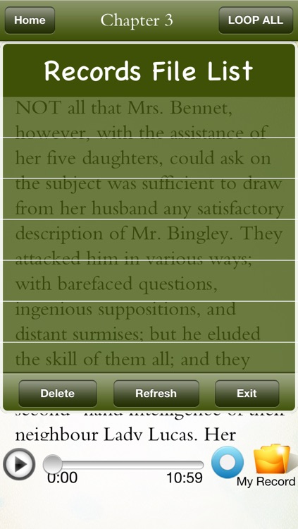Pride and Prejudice - Audio Book screenshot-4