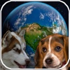 Amazing Earth 3D: Dogs