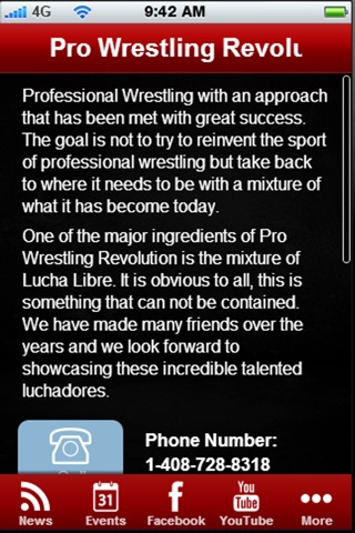 Pro Wrestling Revolution screenshot 2