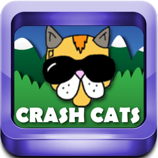 Crash Cats